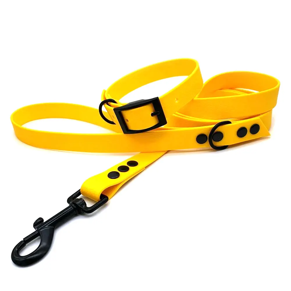 Wholesale Fashion Pet Product Custom Silicone PVC TPU Coated Fancy Waterproof Pet Collar And Leash