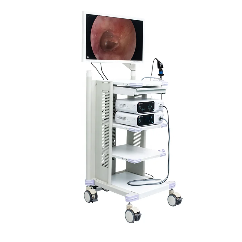 Pet Medical Endoscope System with Video Gastroscope and Video Colonoscope Endoscopy HD Camera