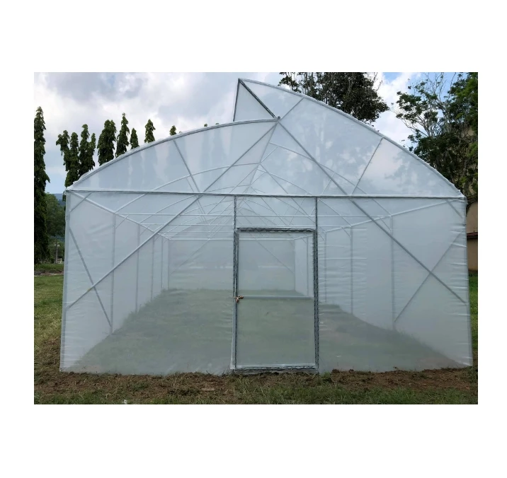 greenhouse factory natural ventilation sawtooth film greenhouse single span sawttoth agricultural vegetable greenhouses