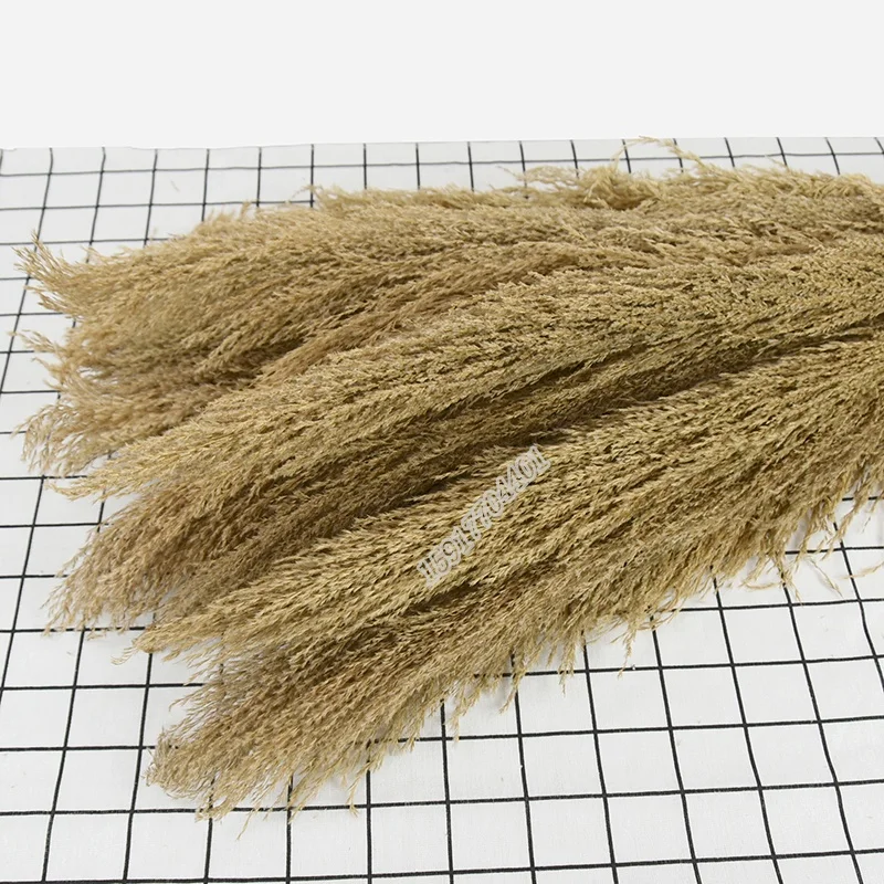 
Factory sale natural plant 110 cm reed dried grass dried flower for home decoration 