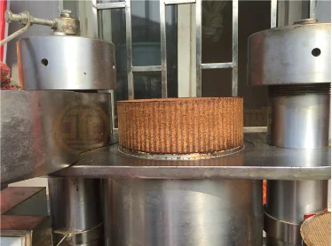 2023 hot sale household oil press small scale sunflower oil press