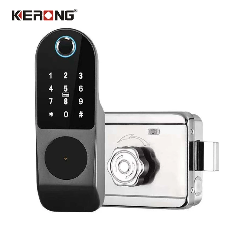 Waterproof Digital Outdoor Large Gate Smart Home TTlock APP Control Metal Door Lock