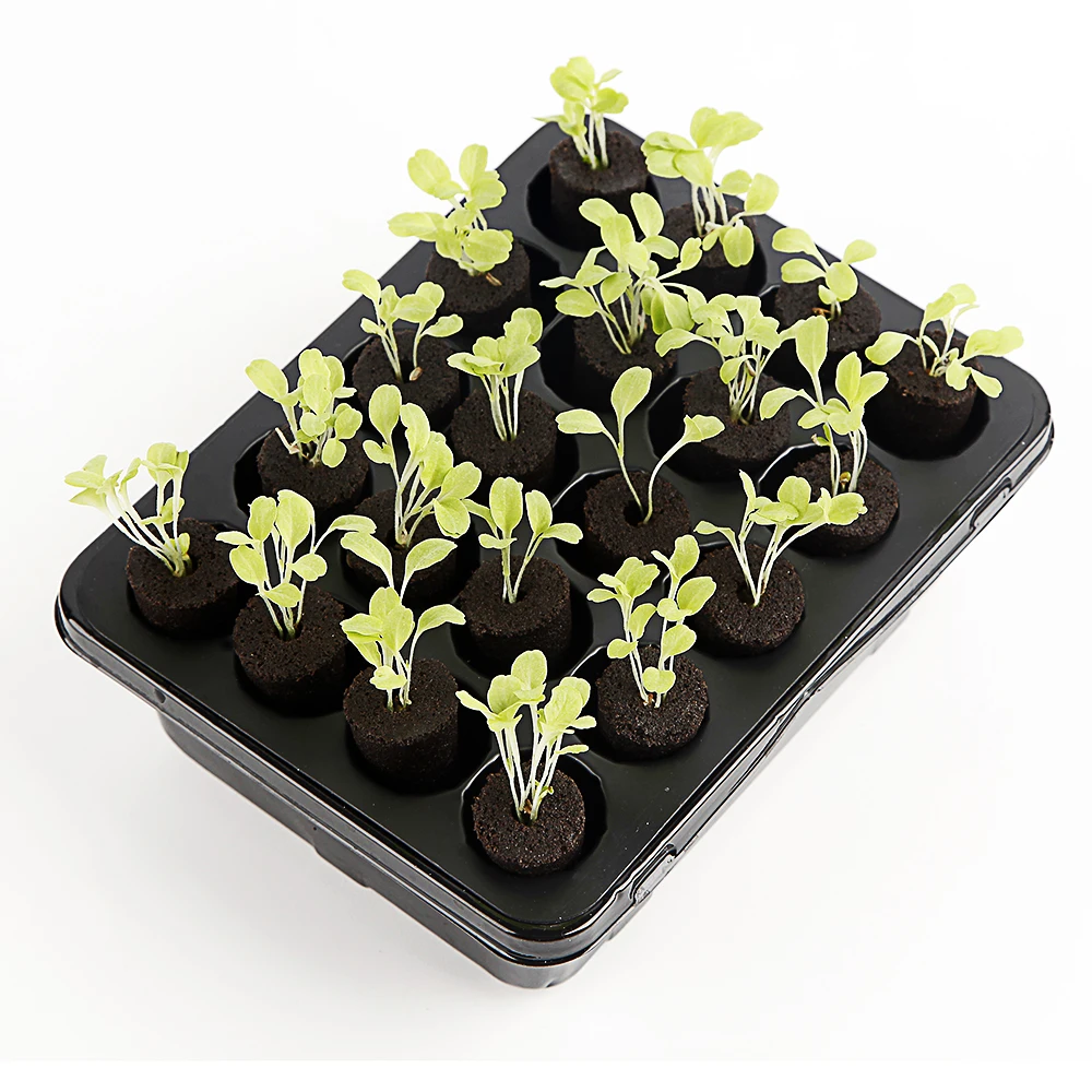 Mini Coco Coir Peat Block Planting Seed Starting Nursery Substrate Grow Sponge For Peat Fibre Seedling Pots With Hole In Bottom