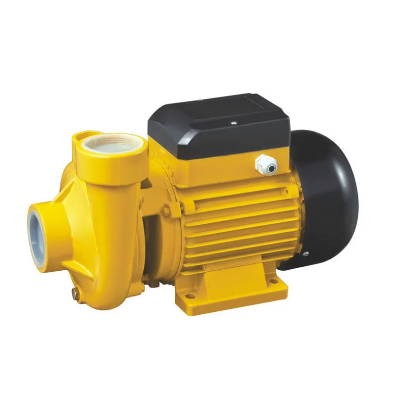2DK-205 Series 2Inch 2Hp Electric Small Portable Surface Centrifugal Water Pump For Domestic House