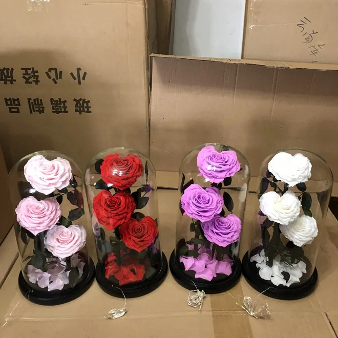 Wholesale Preserved Roses Preserved Roses With Stem in glass dome From Yunnan