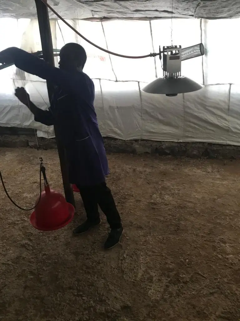 
waterproof heating lamp chicken gas brooder for poultry farm/ chicken house 