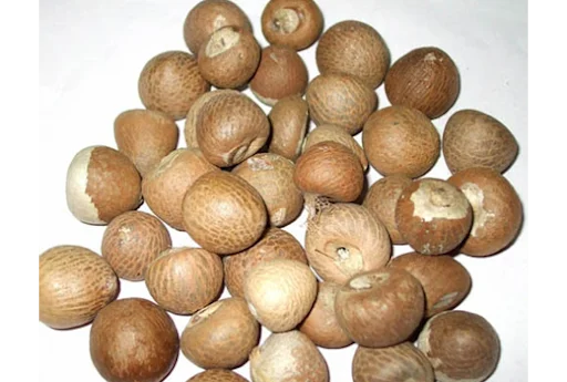 
DRIED BETEL NUT 