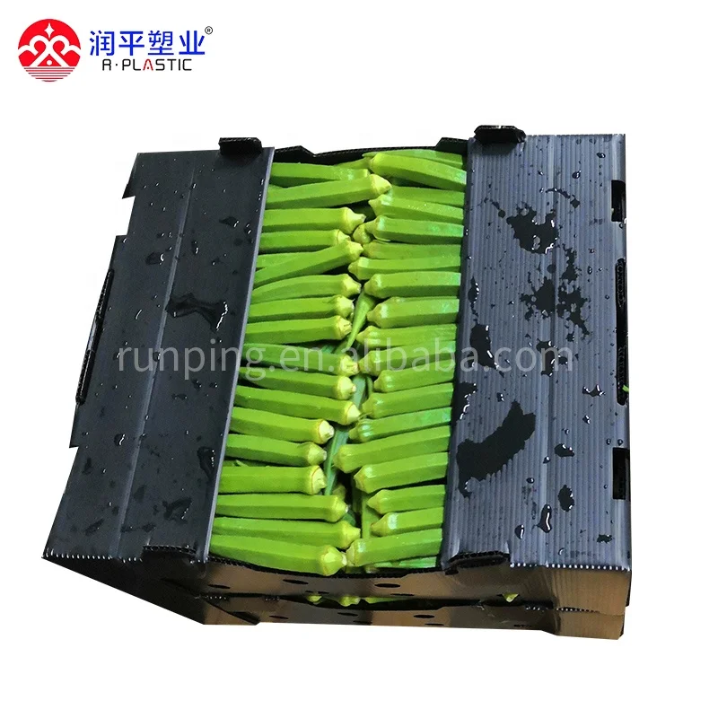 wholesale 4kg 5kg 7kg load weight okra box corrugated plastic storage containers warehouse fruit and vegetable boxes