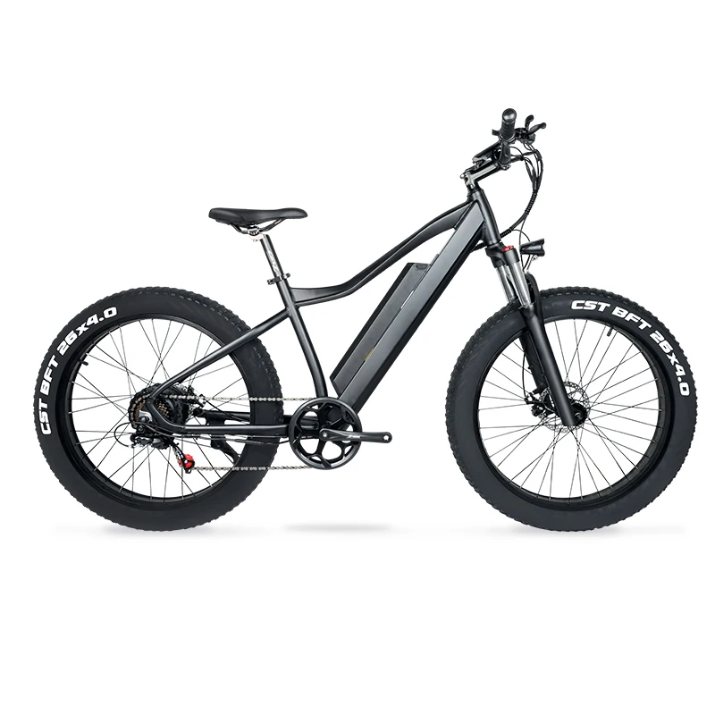 26*4,0 750W 1000W high power Fat Tire electric mountain E bike/
