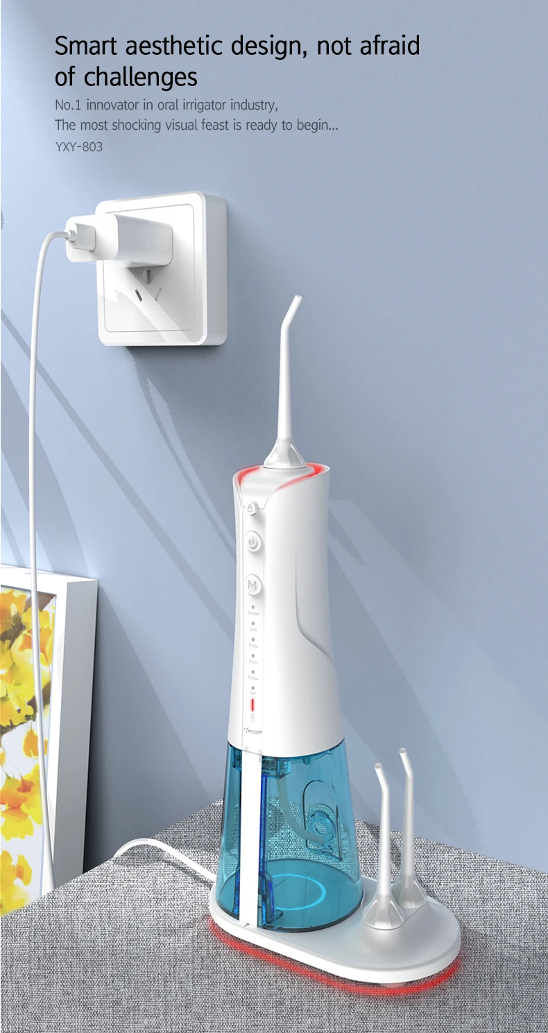 Professional  Manufacturer of Cordless Dental Electric Water Flosser  with 6 Jets and 2 Toothbrushes Oral Irrigator