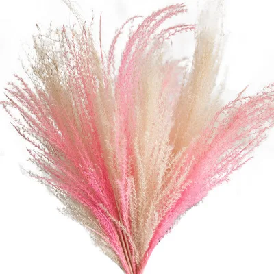 
Hot Sale New Products Preserved Flowers Artificial Pampas Grass For Wedding Decoration 