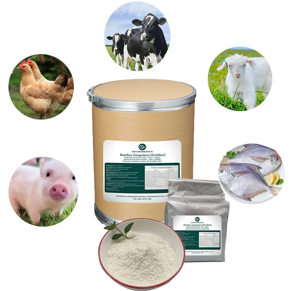 Feed additive for poultry animals such as chickens ducks geese quails ostriches pigeons and eagles