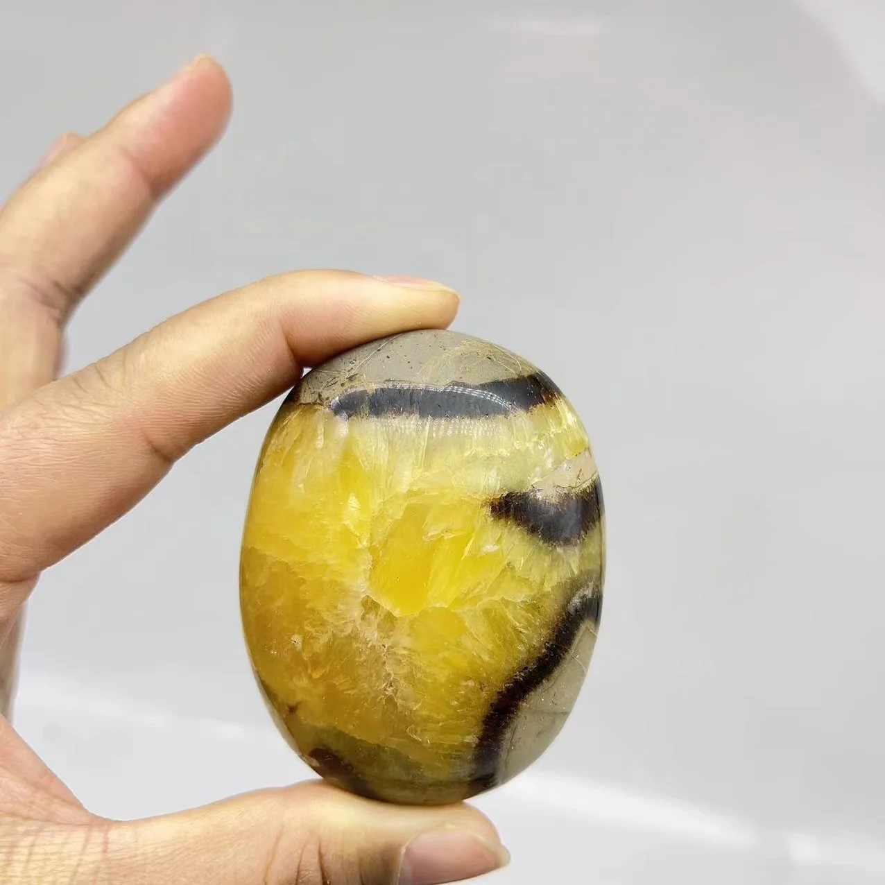 Wholesale Natural crystal septarium palm stone crystal quartz gemstone palm for decoration and artwork gift