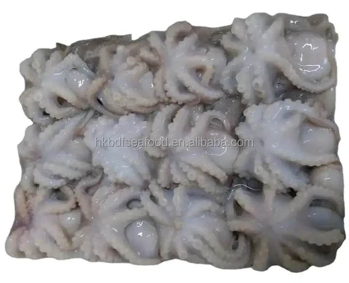 China Manufacturer Eye Off Frozen Baby Octopus Octopoda