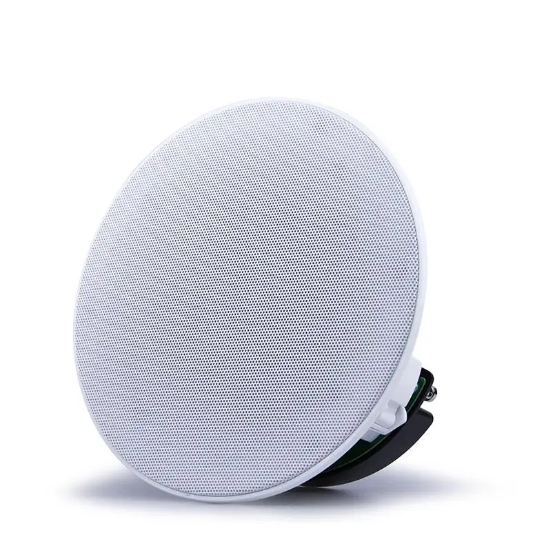In Ceiling Speaker 10watt Full Set 50 Watts 10 Inches Monitor Powered 40W Sound System Big 8inch Speaker