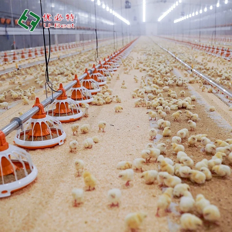 Automatic Broiler Breeder Raising Growing Equipment System Plant Line Layer Farm Equipment Poultry For Chicken House