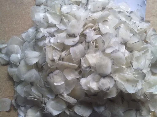 Cheap Price Vietnam dried fish scale for collagen peptide extract Wholesale AGENAS