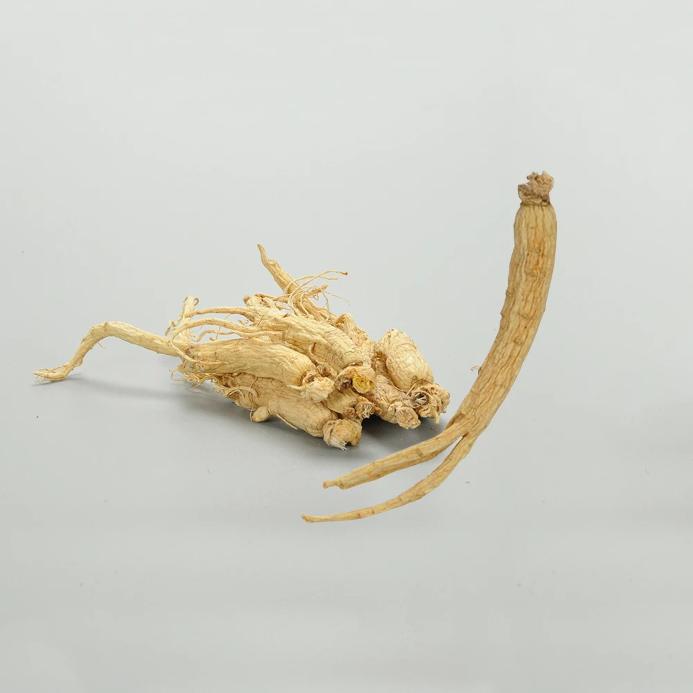 
Natural Ginseng panax with Tail White ginseng 