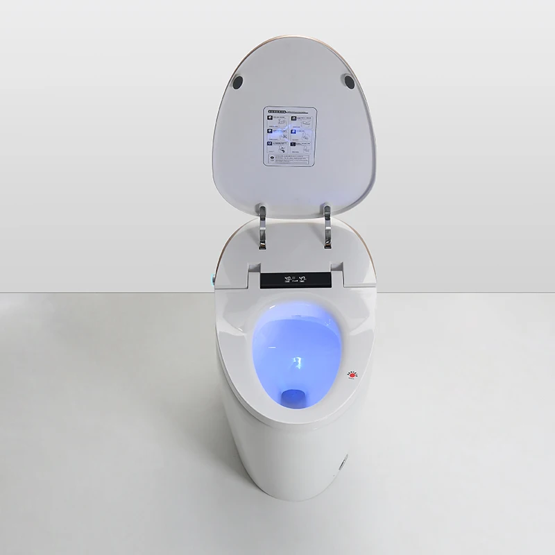 Электрическое Отопление биде умный туалет мойка автоматический спрей воды