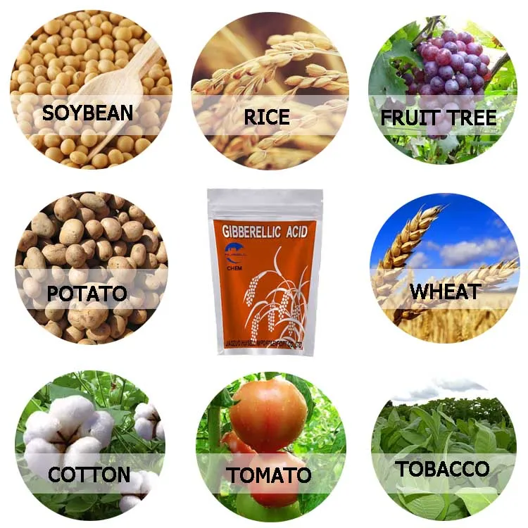 Gibberellic Acid 90%TC GA3, PGR giberellic acidpowder 90%