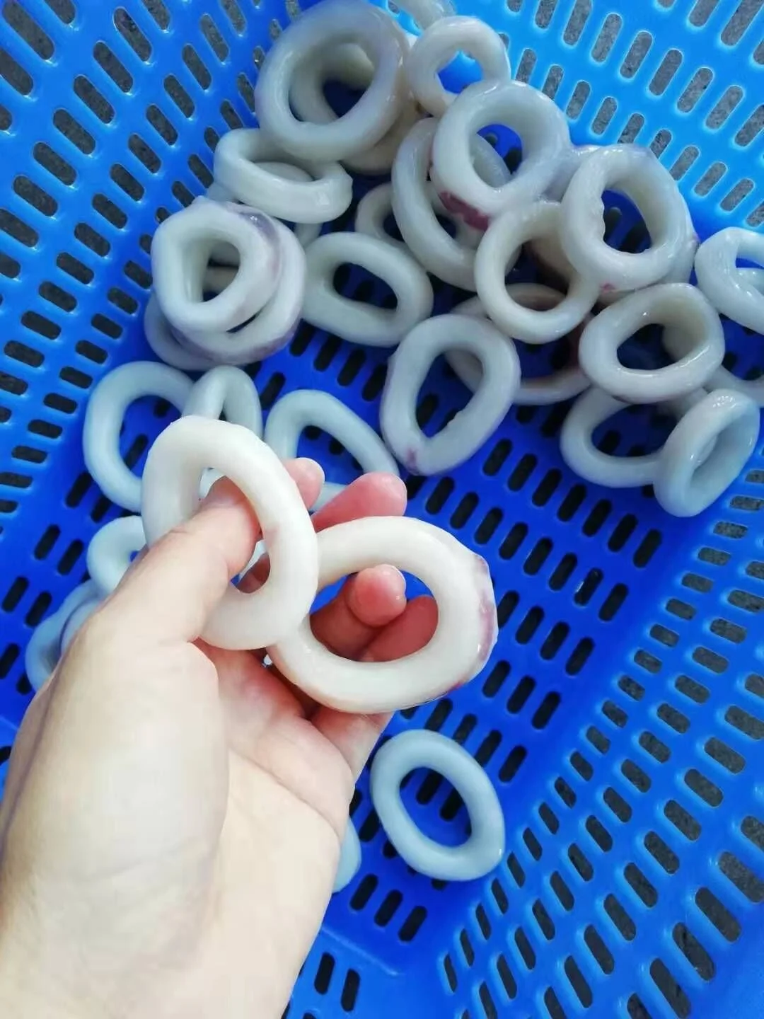 Frozen Squid Ring With Skin on Giant Peru Calamari Rings Crumb Todarodes Gigas IQF/BQF White