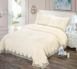 Wholesale Cheap Comfortable Super Warm Embossed Mink Raschel mink blankets for winter