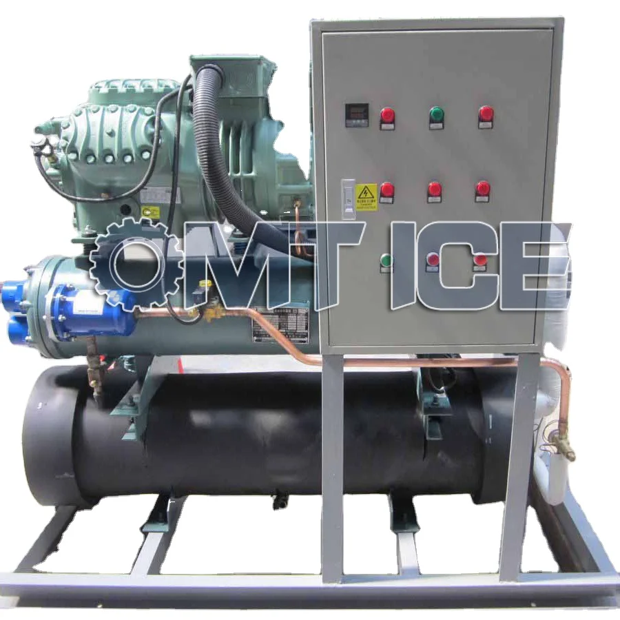 Direct selling 4000 kgs salt water block ice maker  suitable for ice workshop
