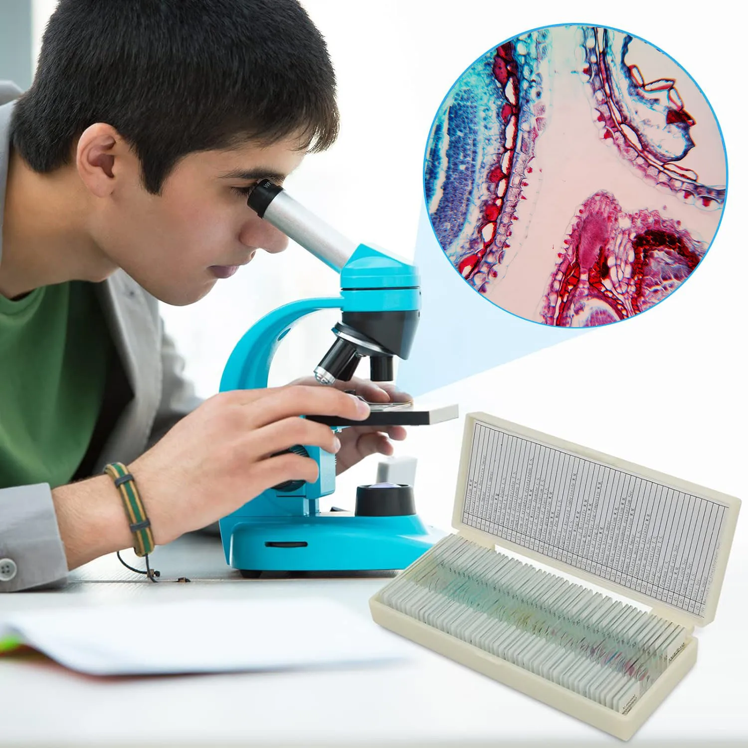 Medical teaching 100 microscope medical parasitology slides for school use