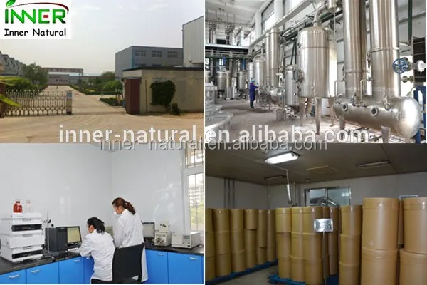 Food Supplements  Factory supplier Antioxidant alpha-lipoic acid powder R-ALA thioctic acid powder