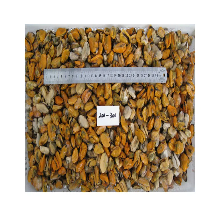 Seafood Fish Frozen Mussel Meat Detail Raw Freshwater Of Mussel Meat Without Shell Iqf