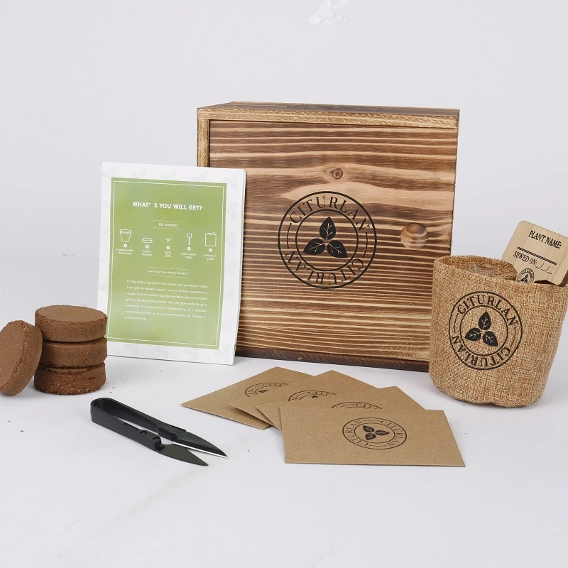 
New Arrive Home Garden Decoration Indoor Non Gmo Herb Garden Starter Kit 