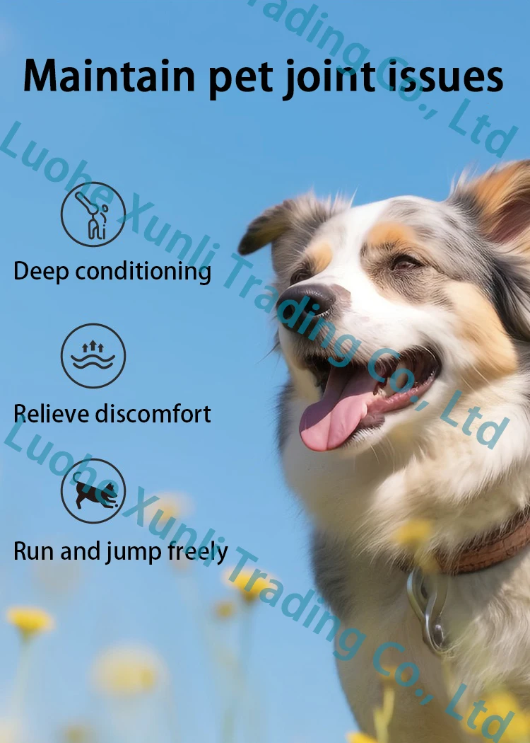 Natural dietary supplement sulphate chondroitin sulfate  capsules  chondroitin For the health of pets