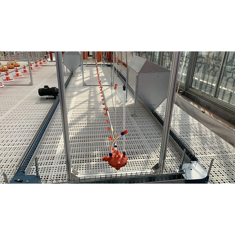Pengda Chicken House farm Feeding System Equipment Water Drinking Line For Poultry
