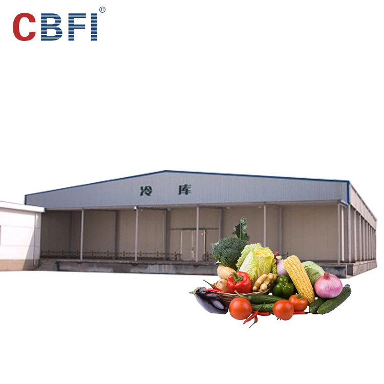 Hot selling Cold Storage Cold Room Cooling System ,  Frezeer Room For Meat And Fish