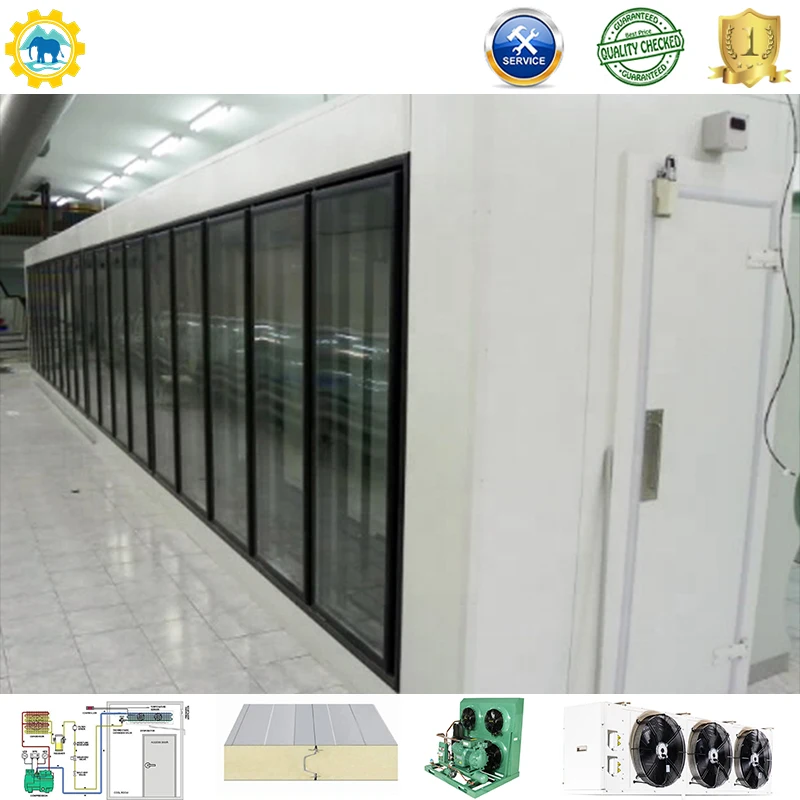 Cold Room Freezer walk in cold storage walk in cold storage freezer room for meat