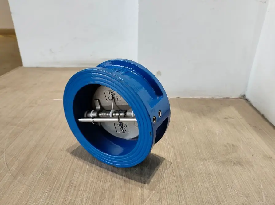 Wafer Type Dual Plate One-way Valve PN16 DN125 Double Flanges Check Valve for Water System