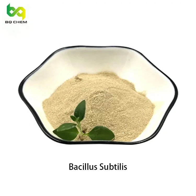 /Agriculture fertilizers Amino Acid leaf fertilizer Factory supply bulk bacillus subtilis powder food bacillus subtilis