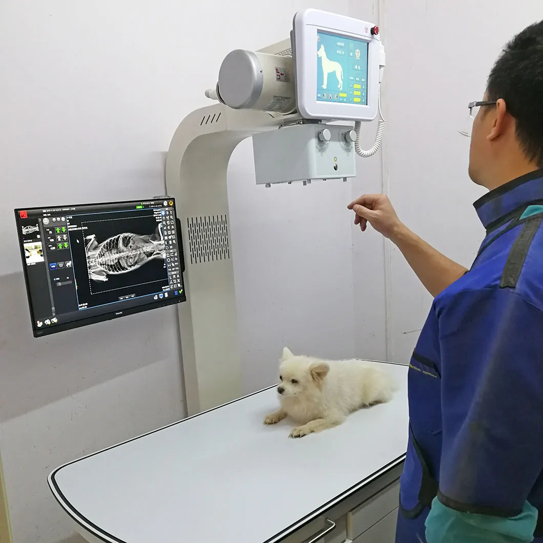 High Frequency 32kW Digital Veterinary X ray Machine Radiography Pet Xray Vet X-ray Price For Animal