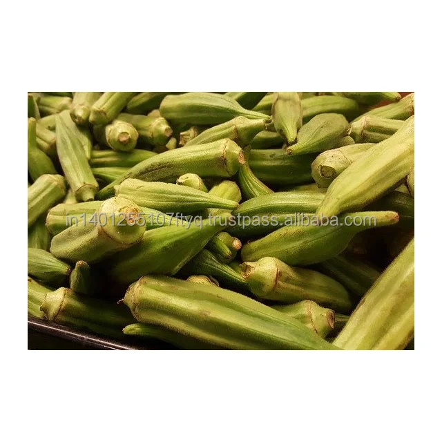IQF Okra bхинди женские пальчиковые резные кольца вырезанные лучшее качество Хорошая цена замороженный продукт кубическая