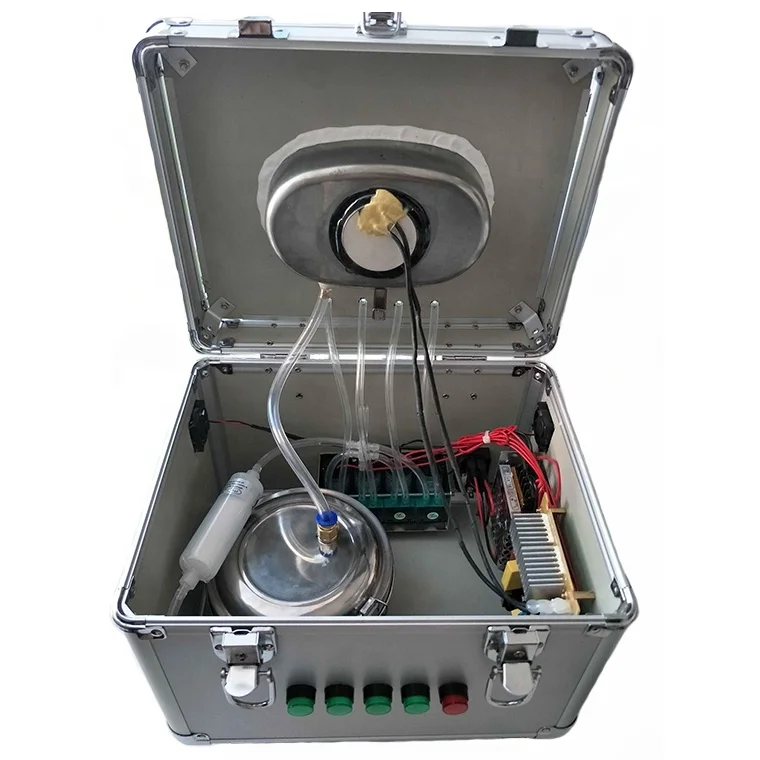 Ultrasonic And High Pressure Cleaning Machine For Eco Solvent Print Head