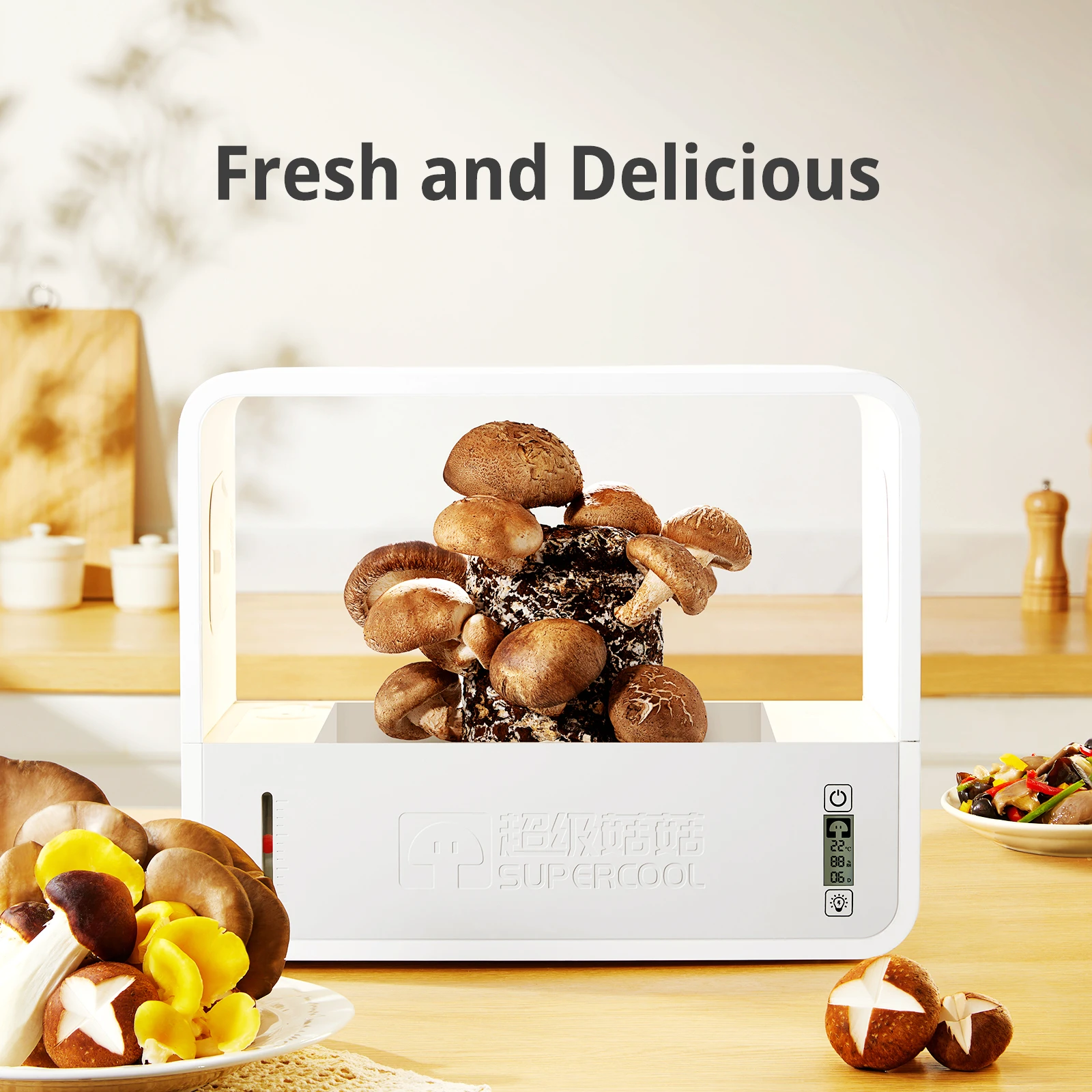 Small Indoor Hydroponic Mushroom Grow Kit ABS Time Temp. Humidity Lighting & Fanning-Control Temp. Humidity Lighting Control