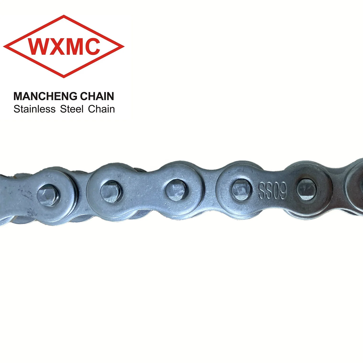 Factory Direct Stainless Steel Carbon Steel Leaf Chains Roller Chain For The Transport Industry