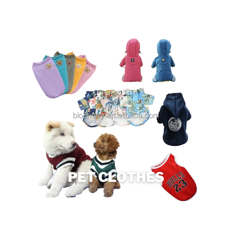 Pet shop Тайвань