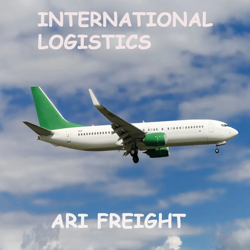 Специальная услуга морской транспортировки, бесплатная доставка из Китая в США, Европа