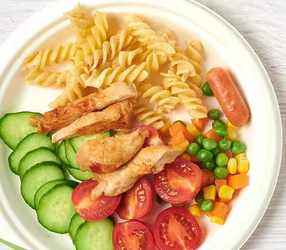 Heavy-Duty Disposable Paper Plates Factory Price Food Container Biodegradable Sugarcane Bagasse Plates