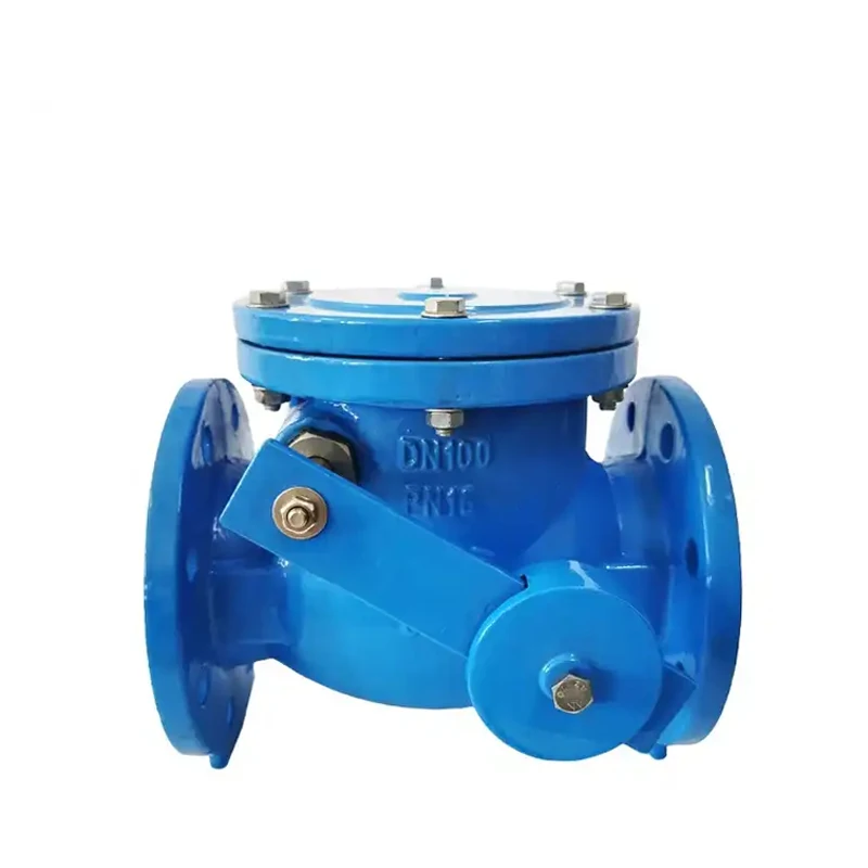 BS5153 Cast Iron Wafer Type Swing Check Valve 6inch 12inch Pn16 Swing Check Valve