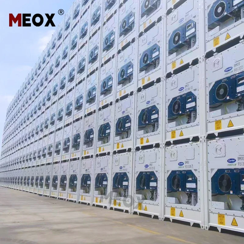 MEOX 20ft 6 Meter Length Thermo King Refrigerated Cooler Reefer Container Stock Price for Sale