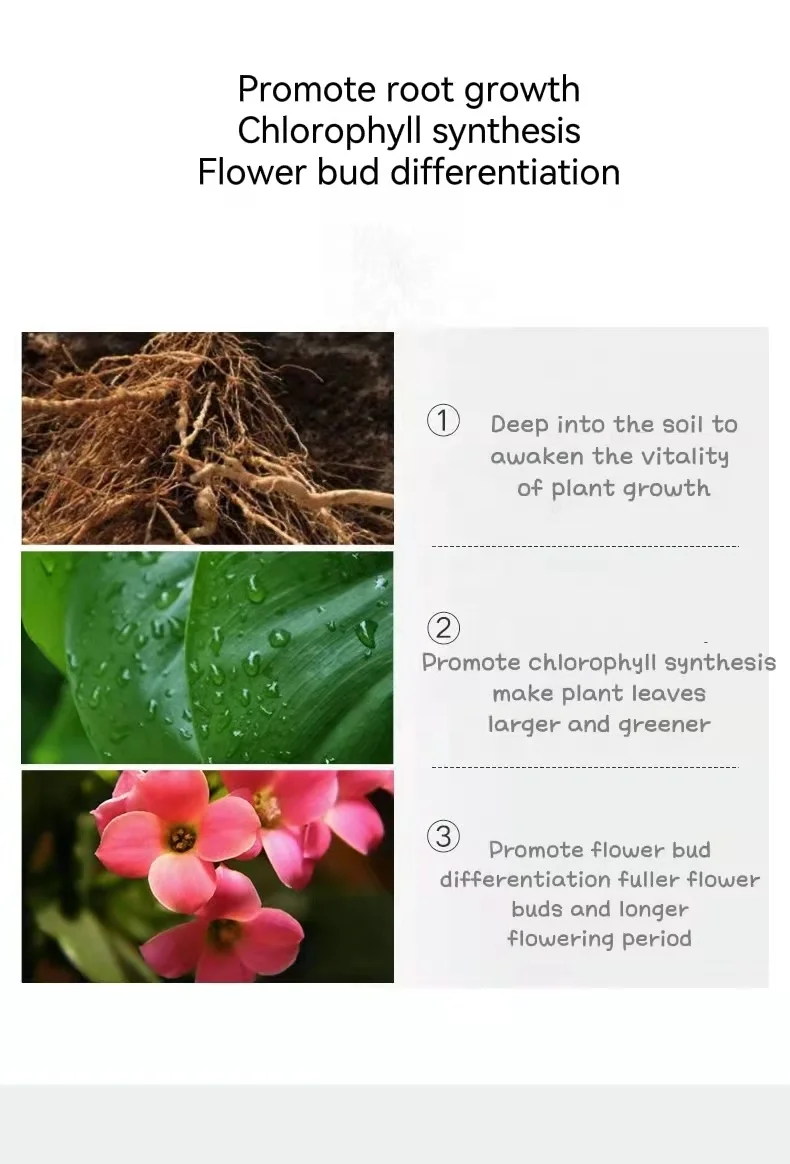 Horticultural Fertilizer Garden Fertilizer Outdoor Vegetables Plant Organic Natural Granular Fertilizer For Hoseplant Use