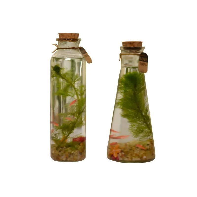 
High Quality Home Decor Mouth Blown Glass Vase 