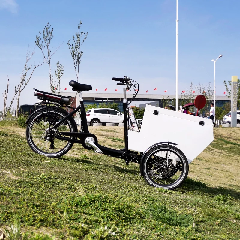 Front loading metal box white electric three wheel cargo bike for Euro market 250W motor pedal assist dutch cargobike